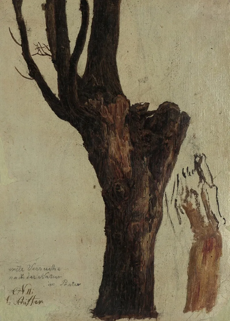 Baumstudie Im Prater 2