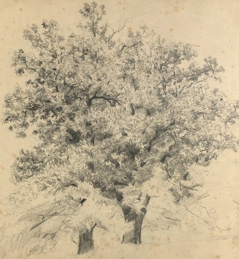 Baumstudie Im Prater 3 by Tina Blau - Canvas Print