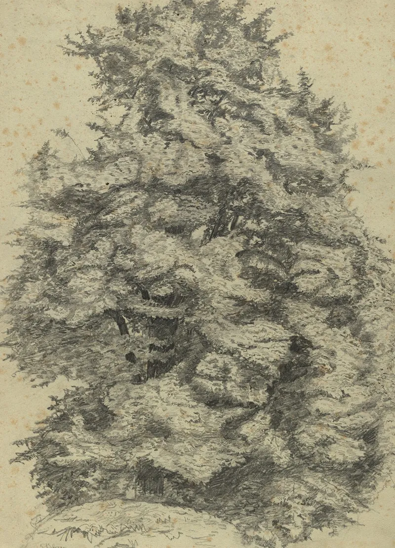 Baumstudie Im Prater 4