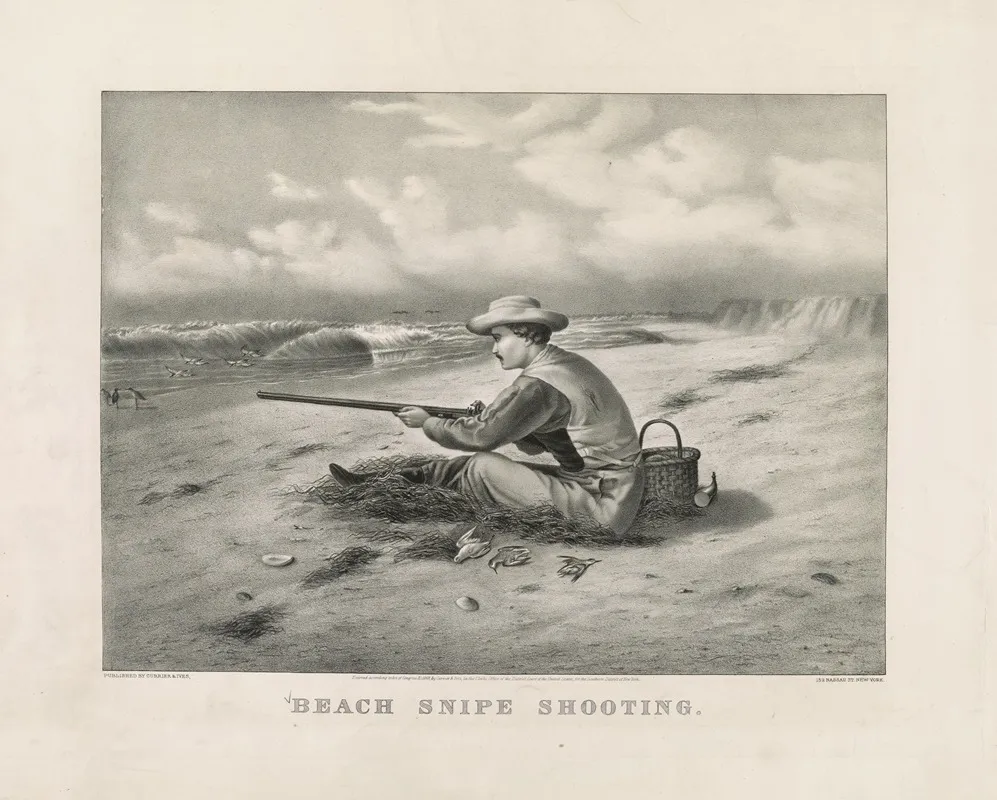Beach Snipe Shooting