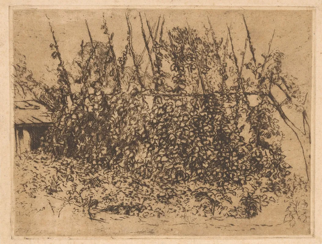 Beanstalks by Johannes Löhr - Canvas Print