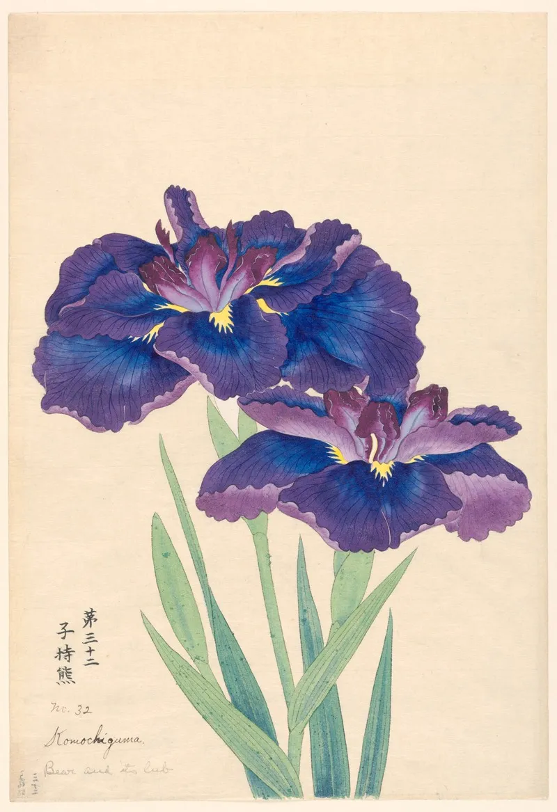 Bear And Its Cub Komochiguma