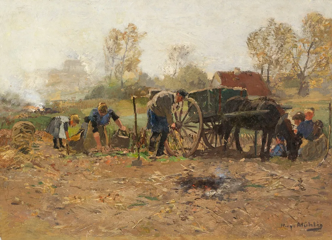 Bei Der Ernte Niederrhein