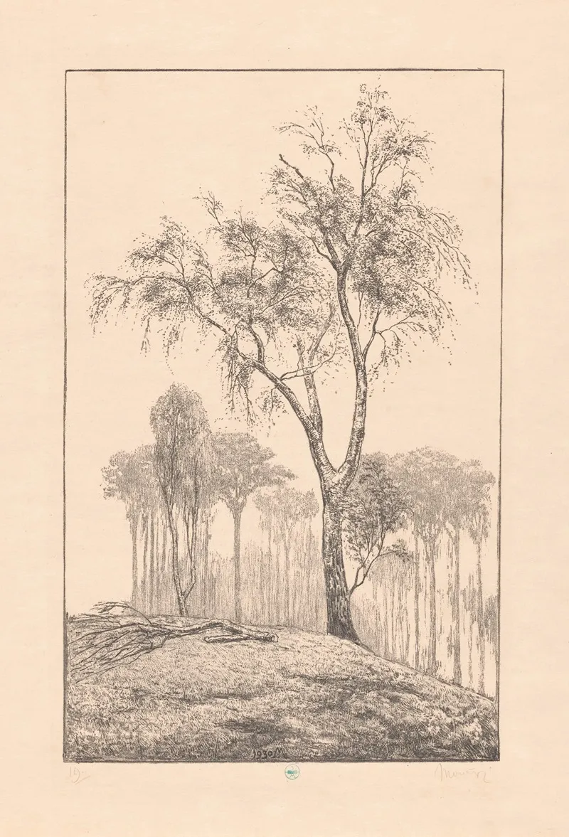 Berken Op Heuvel