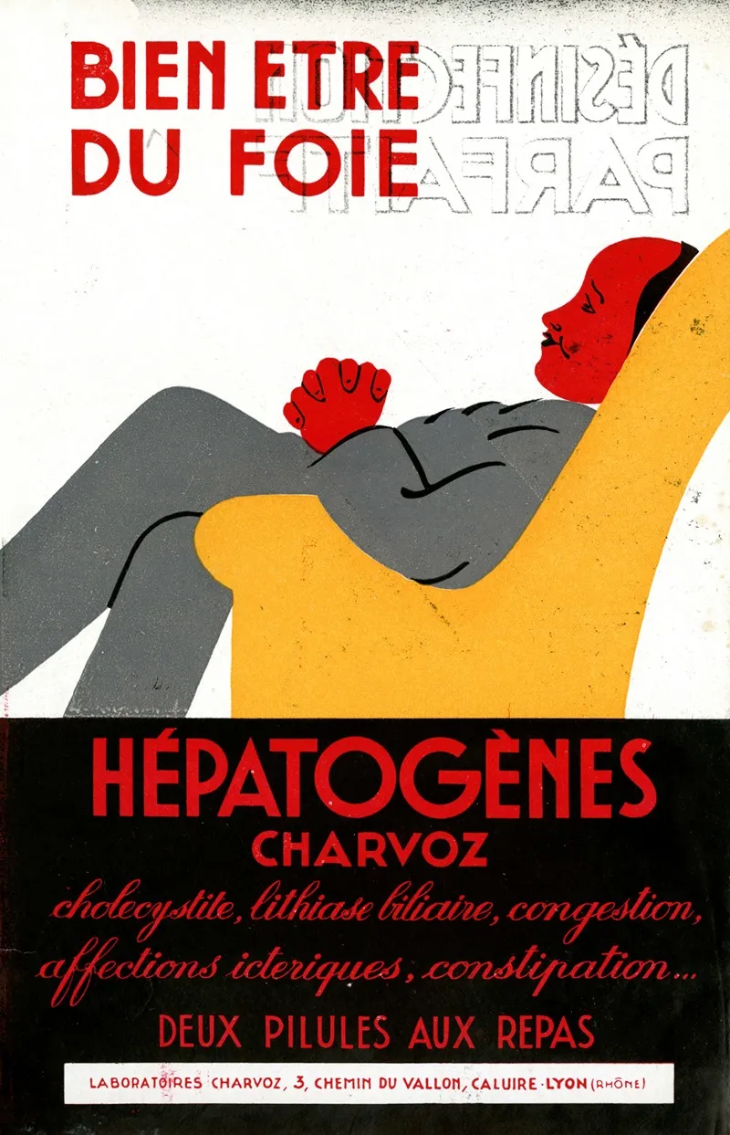 Bien Etre Du Foie