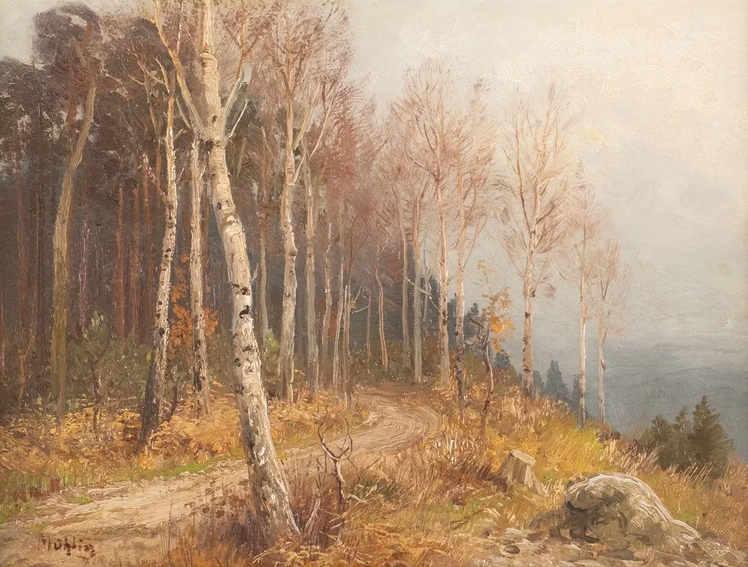 Birch Forest by Hugo Mühlig - Canvas Print