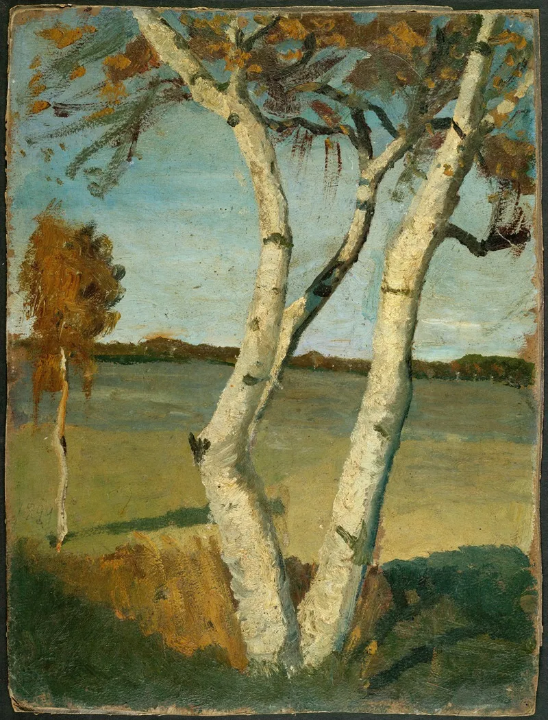 Birch Tree In A Landscape