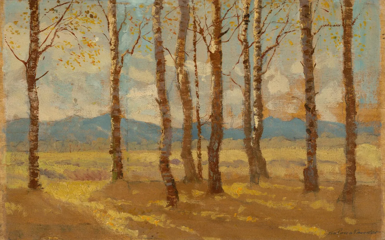Birches In Autumn