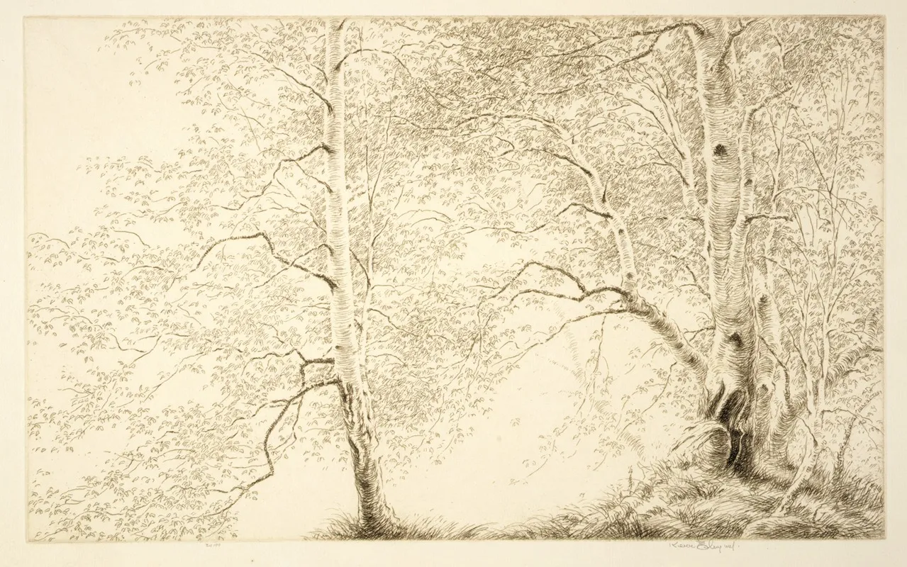 Birches by Kerr Eby - Canvas Print