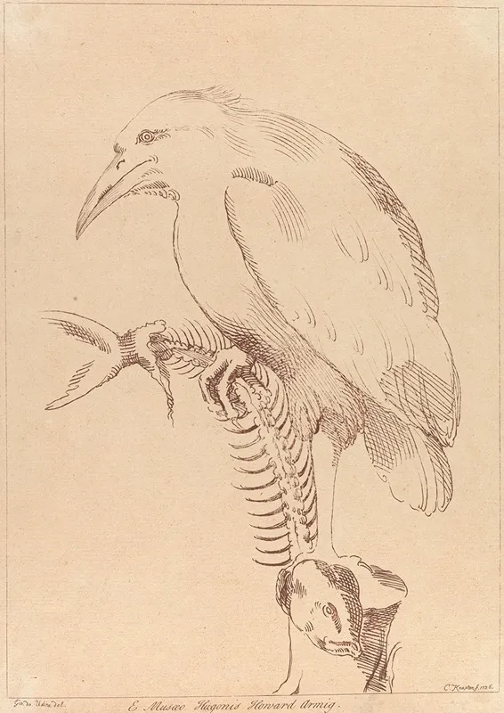 Bird Holding Fish Skeleton by George Knapton - Canvas Print