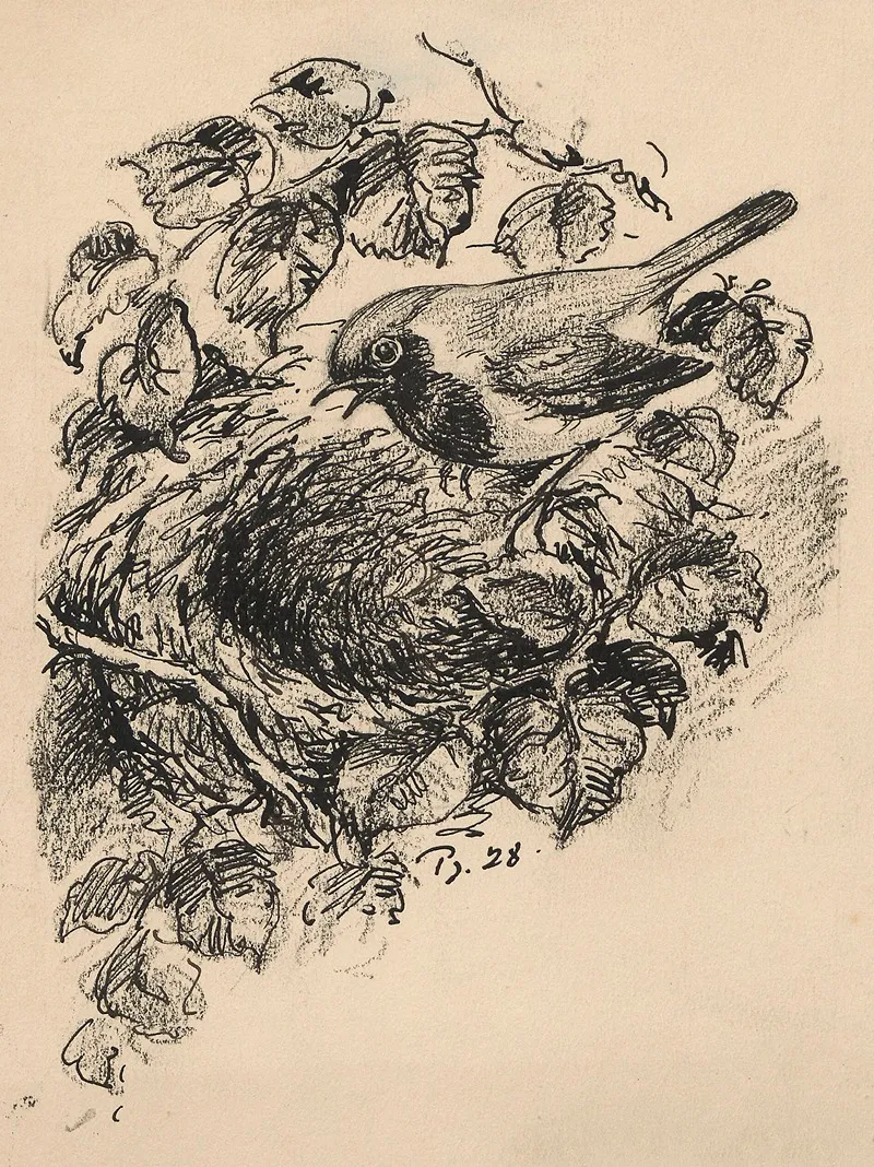 Bird In A Birds Nest