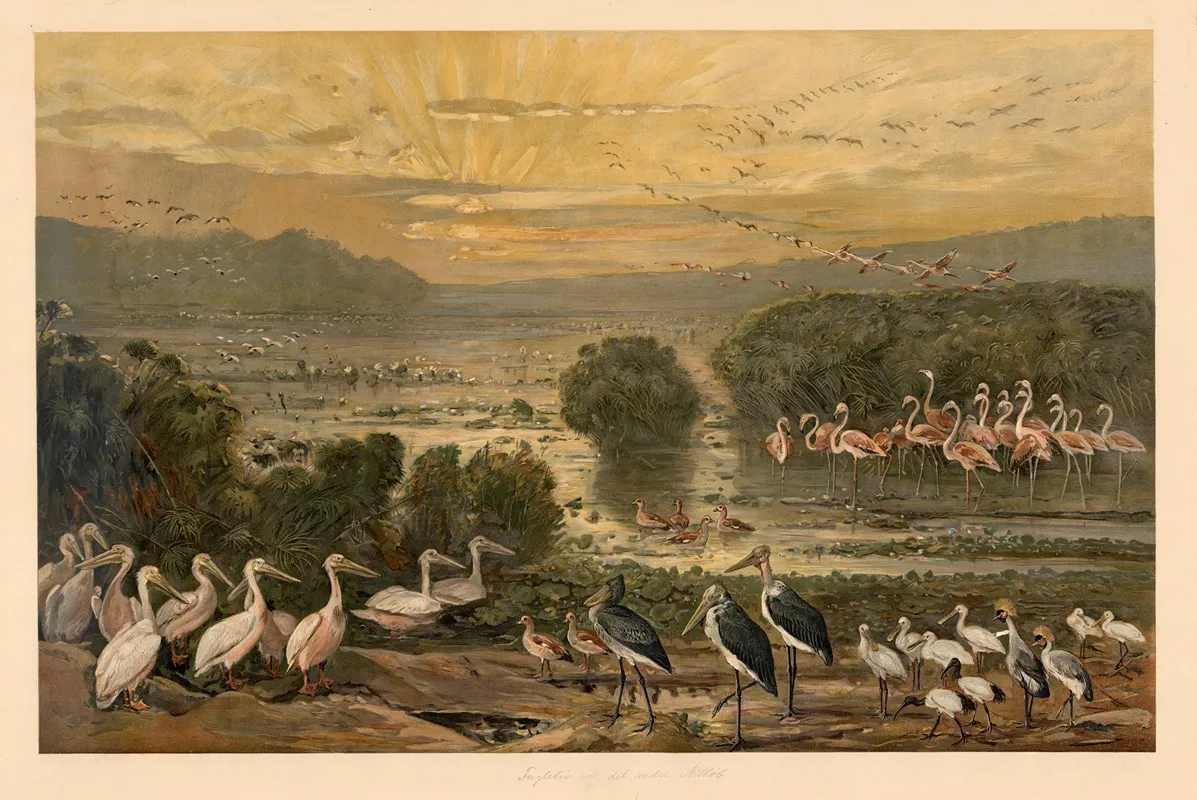 Bird Life On The Upper Nile by August Specht - Canvas Print