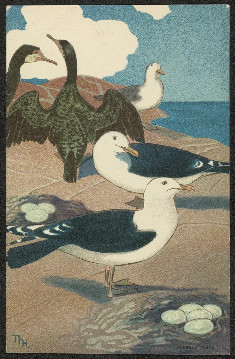 Bird Motif 4 by Thorolf Holmboe - Canvas Print