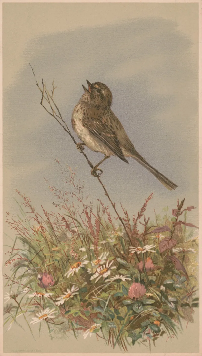 Bird On A Stalk Singing