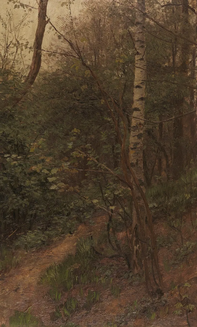 Birken Am Waldrand by Alexander Koester - Canvas Print