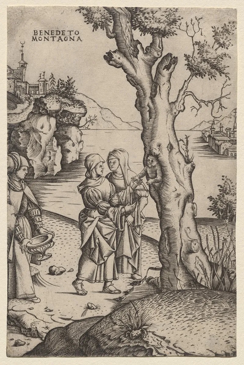 Birth Of Adonis