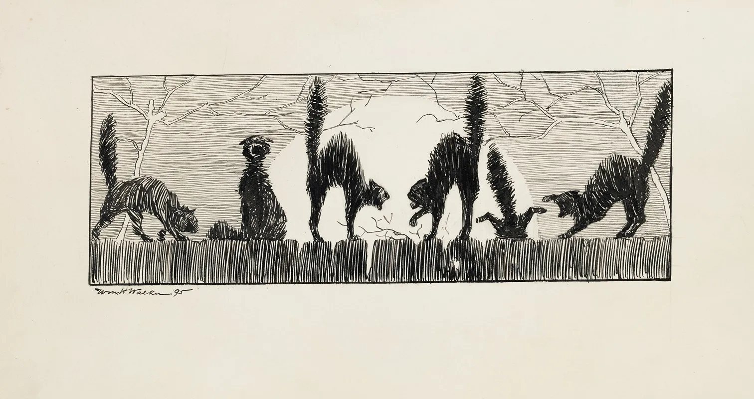 Black Cats Threatening Each Other On A Fence At Night