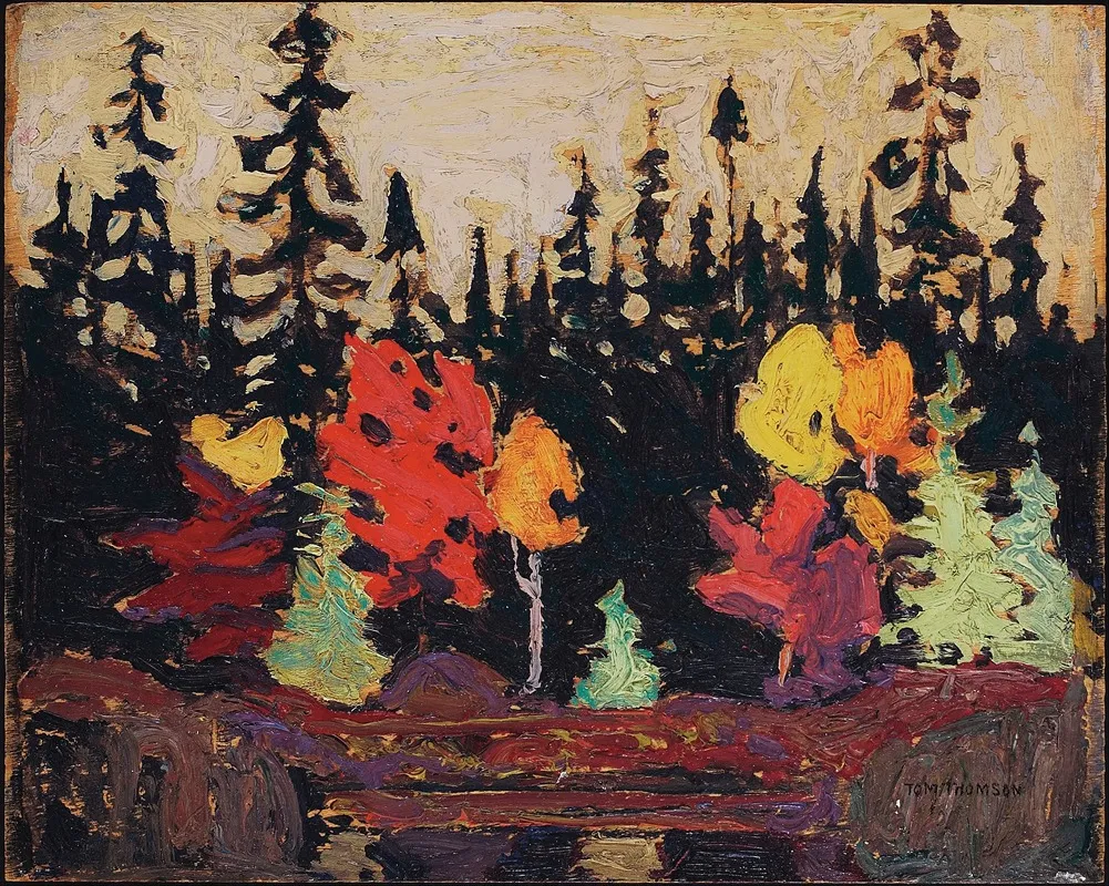 Black Spruce And Maple by Tom Thomson - Canvas Print