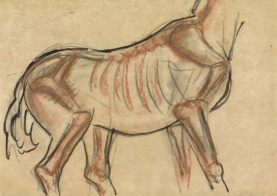 Blad Met Schets Van Een Paard 2