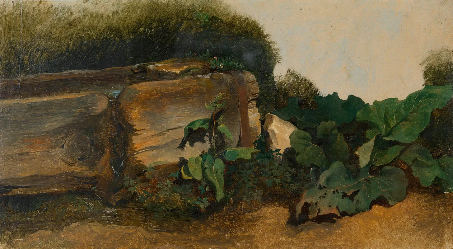 Blattpflanzen Bei Einem Brunnentrog by Friedrich August Matthias Gauermann - Canvas Print