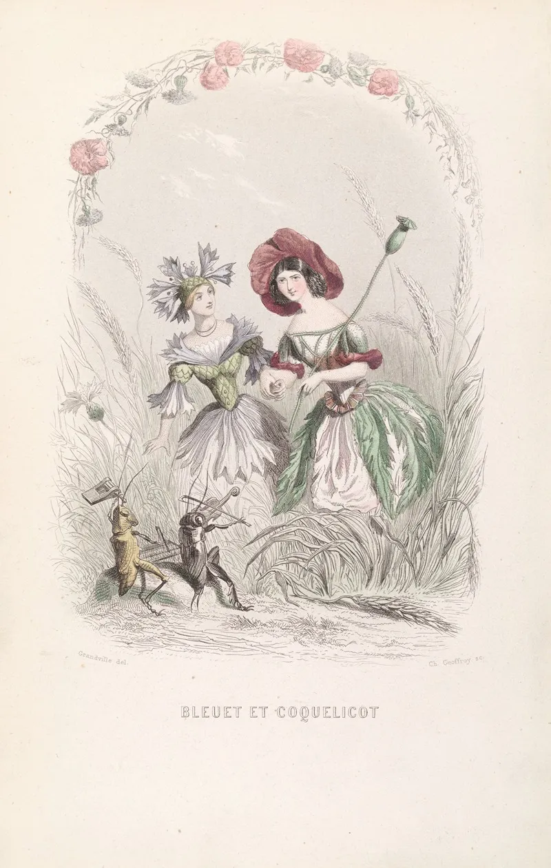Bleuet Et Coquelicot