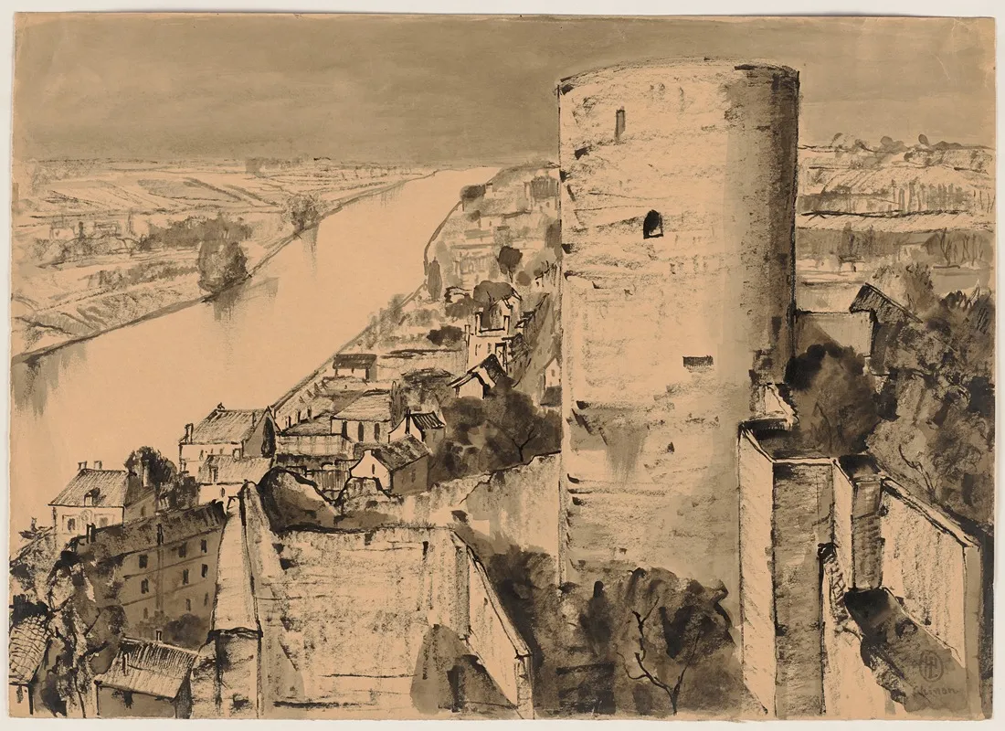 Blick Von Der Burg Chinon Auf Die Vienne