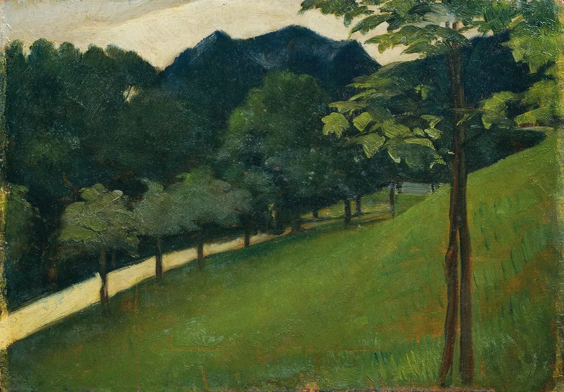 Blick Von Einem Grunen Abhang Gegen Eine Allee