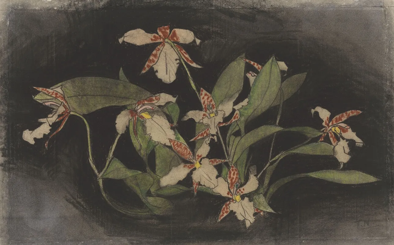 Bloeiende Orchideeentak