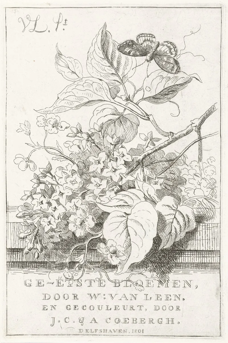 Bloemenstudie Met Vlinder