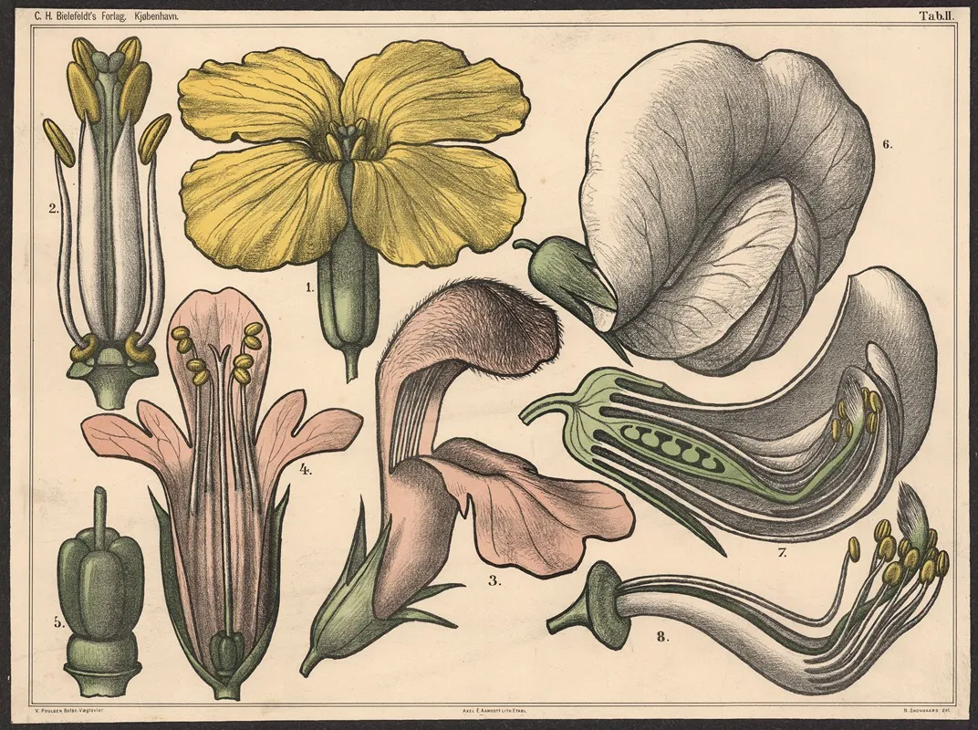 Blomstens Bygning Ii