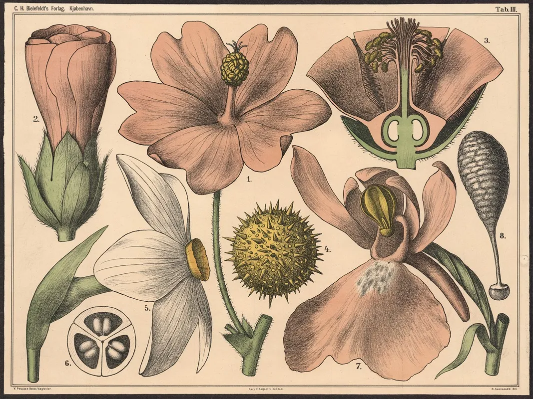 Blomstens Bygning Iii