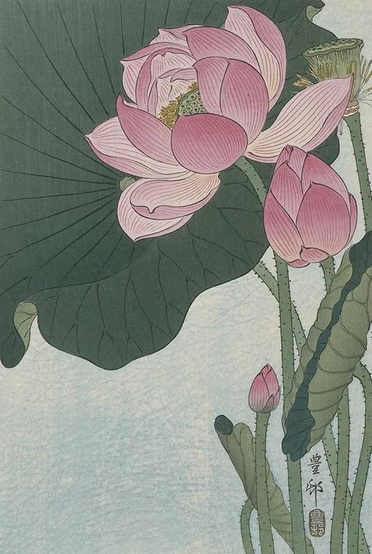 Blooming Lotus Flowers by Ohara Koson - Canvas Print