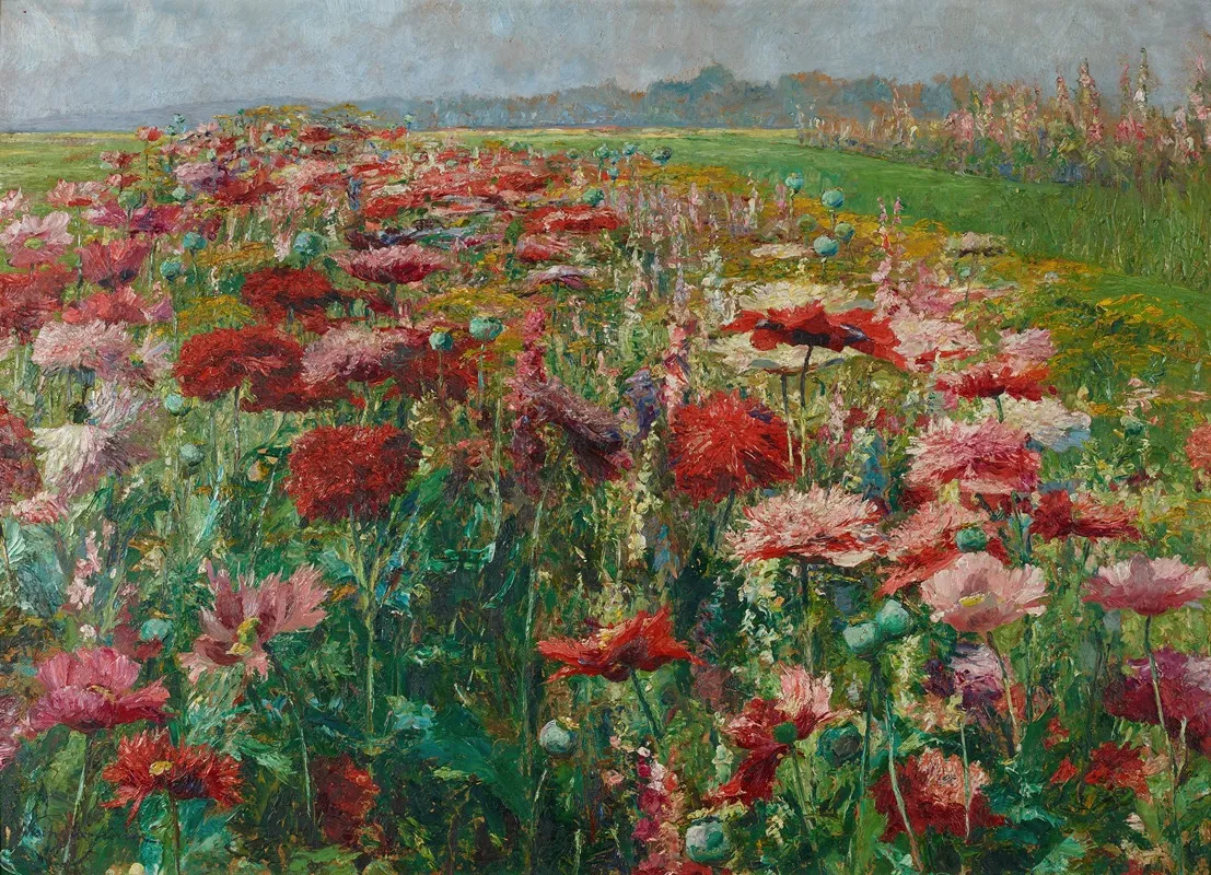 Bluhender Mohn