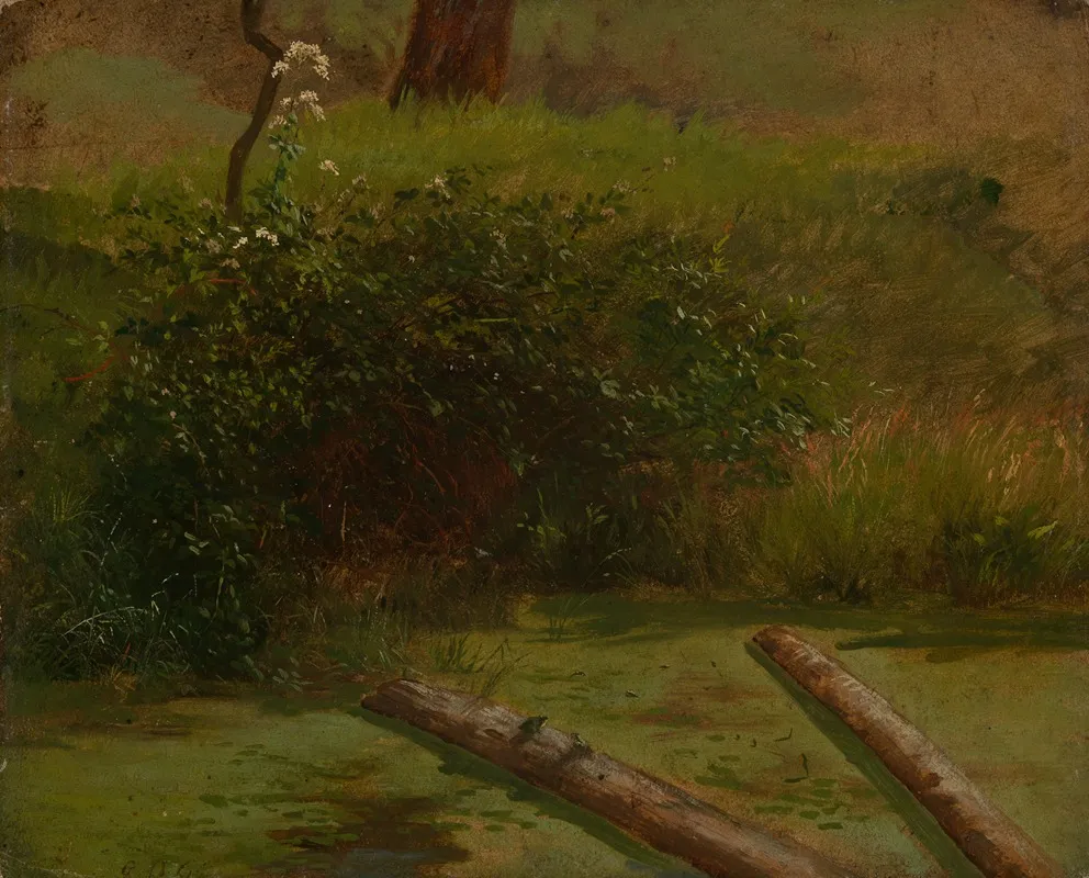 Bluhender Schierling