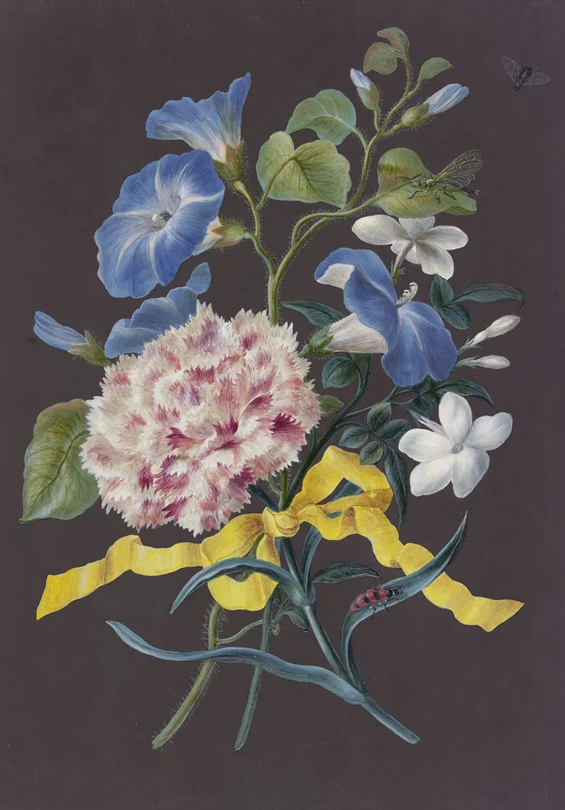 Blumengebinde Mit Rosa Nelke Dianthus Blauer Winde Convolvulus Und Weisem Jasmin Jasminum Mit Rotschwarz Getreiftem Kafer Libelle Und Fliege