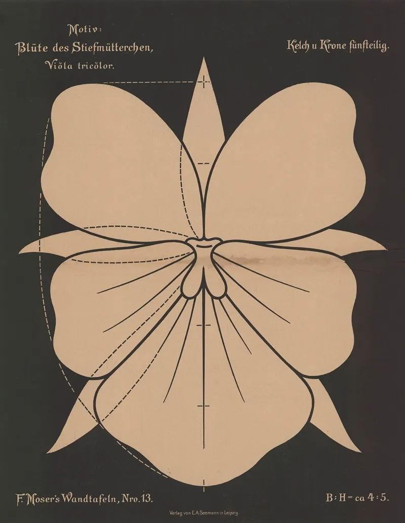 Blute Des Stiefmutterchen Viola Tricolor