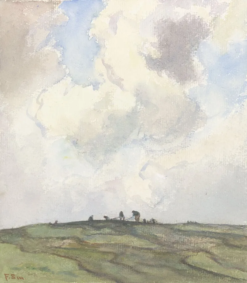 Boeten Van Netten Op Een Grasveld Achter De Duinen