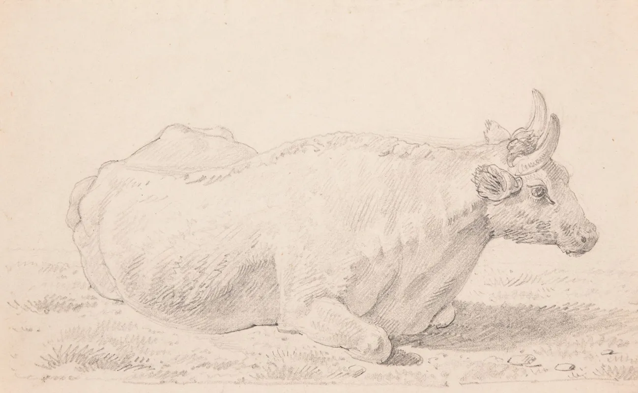 Boeuf Couche