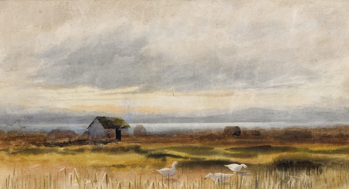Bog Scene