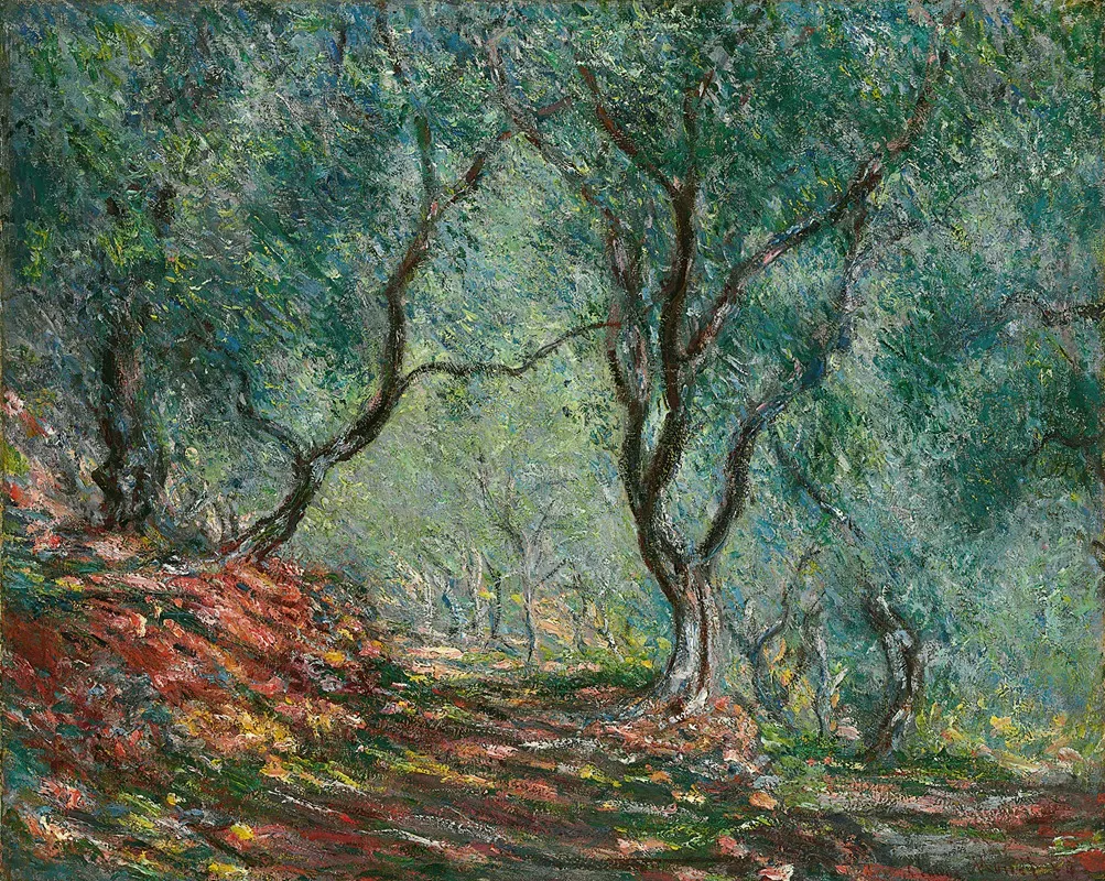 Bois Doliviers Au Jardin Moreno