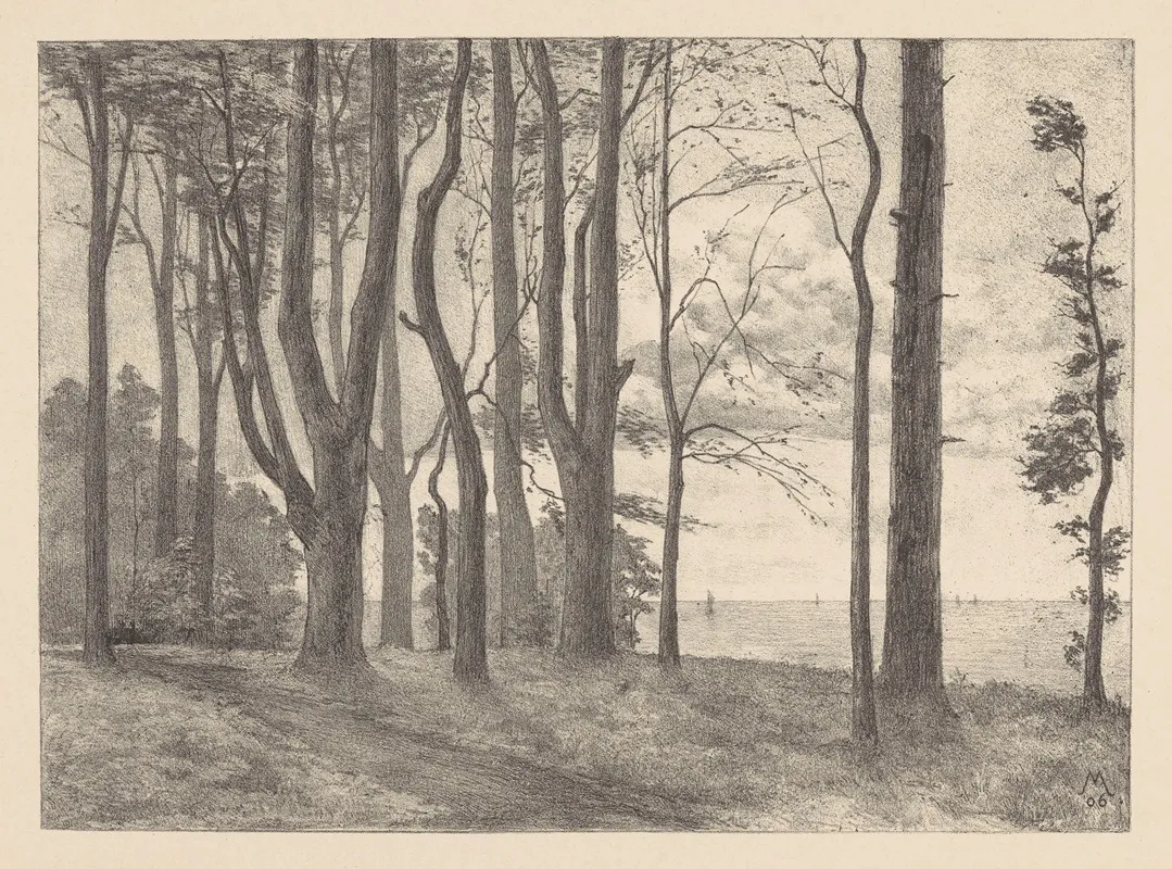 Bomen Aan Water Met Zeilboten Valkeveen