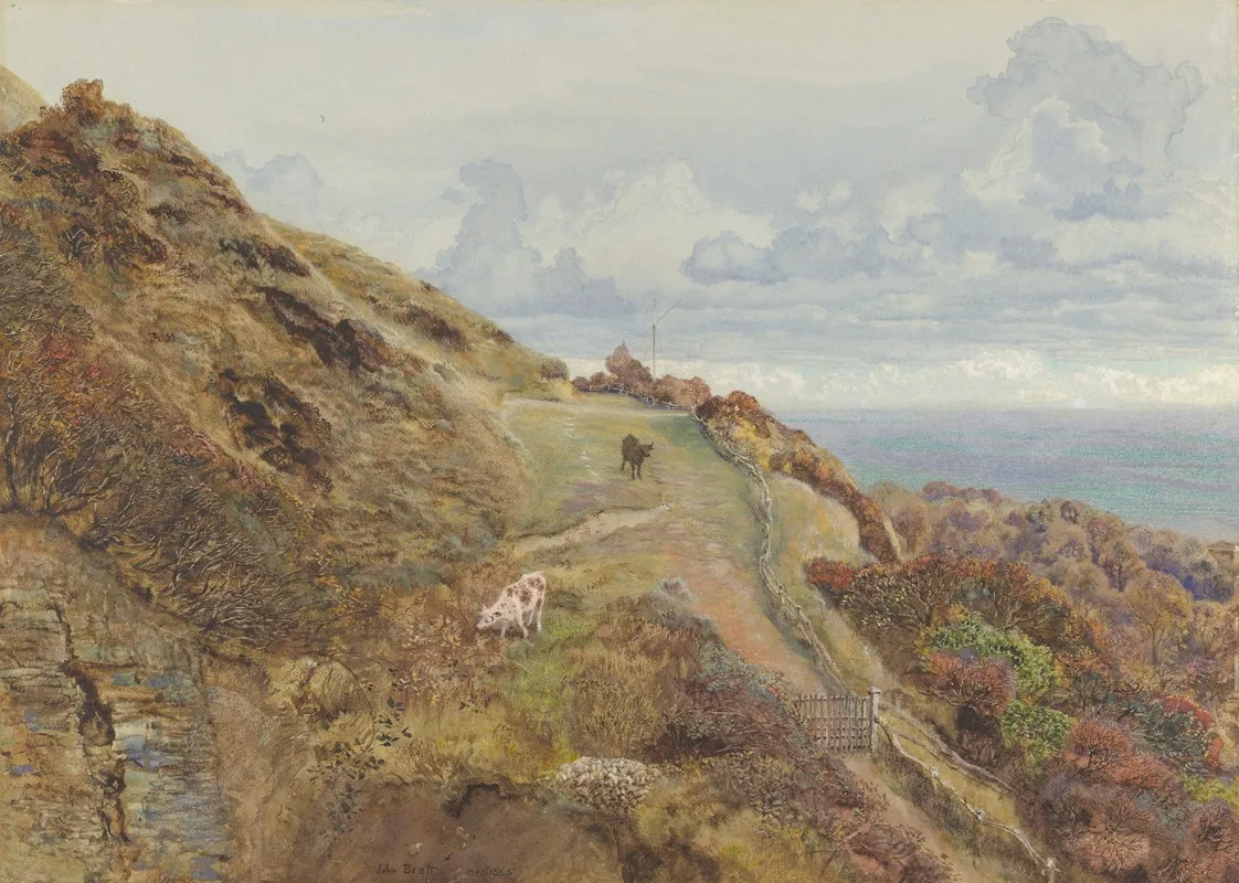 Bonchurch Downs