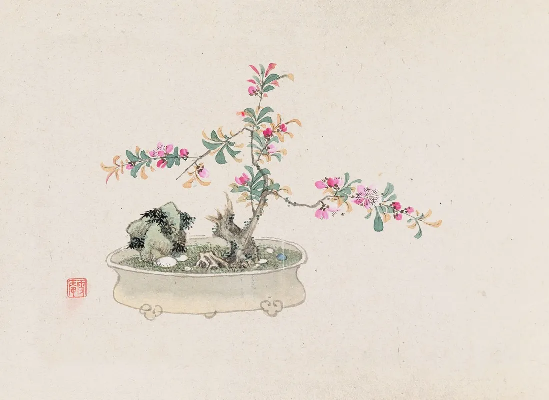 Bonsai Kabenzu Pl 27