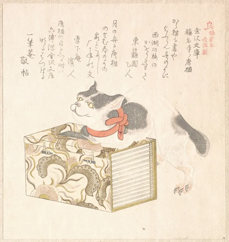 Books From Kanazawa Library And Foreign Cat Of Shomyoji Temple