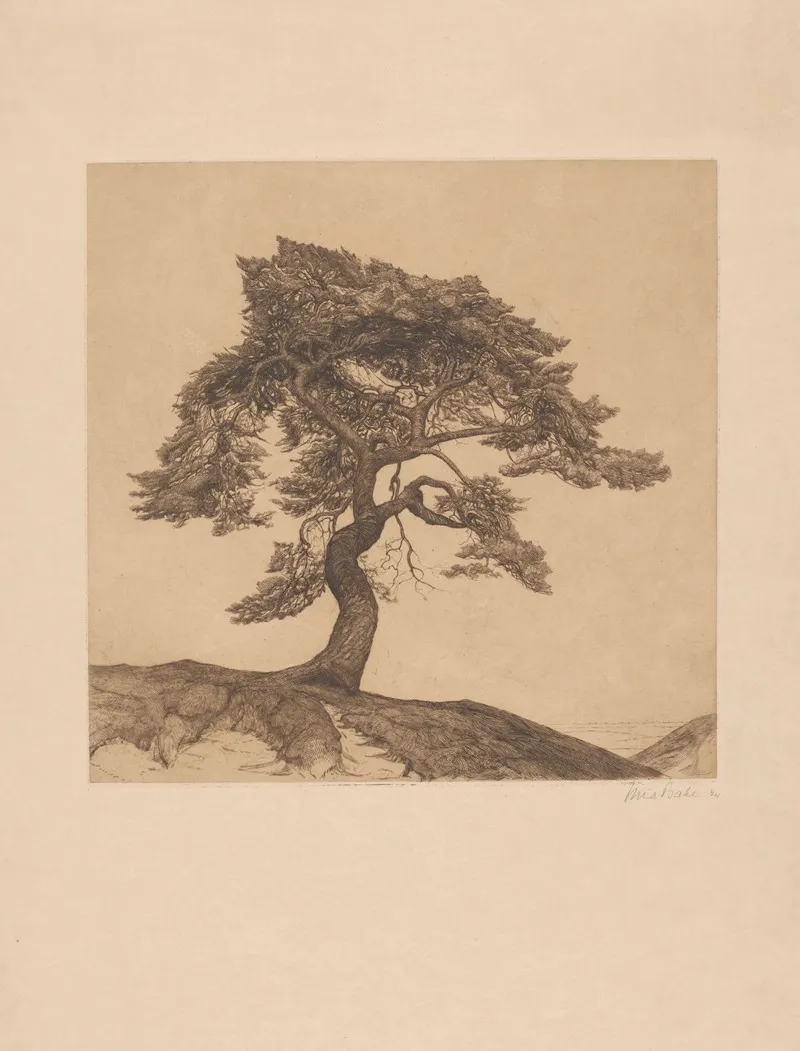 Boom In Een Landschap by Mia Bake - Canvas Print