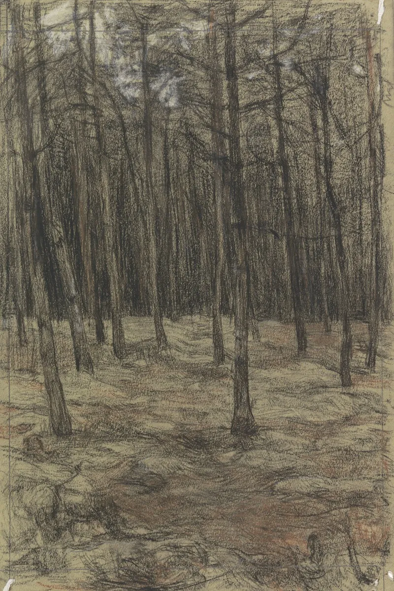 Boslandschap 5