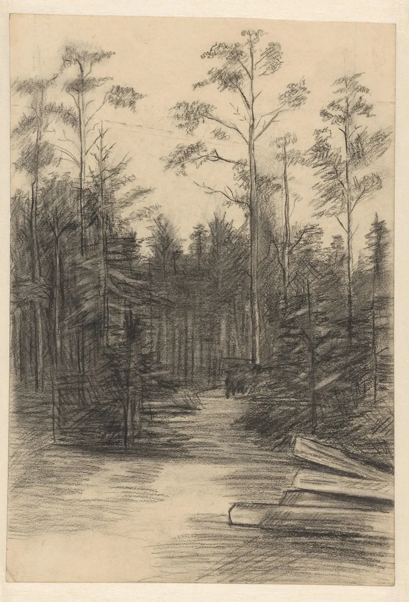 Bosweg Tussen Dennen by Willem Witsen - Canvas Print