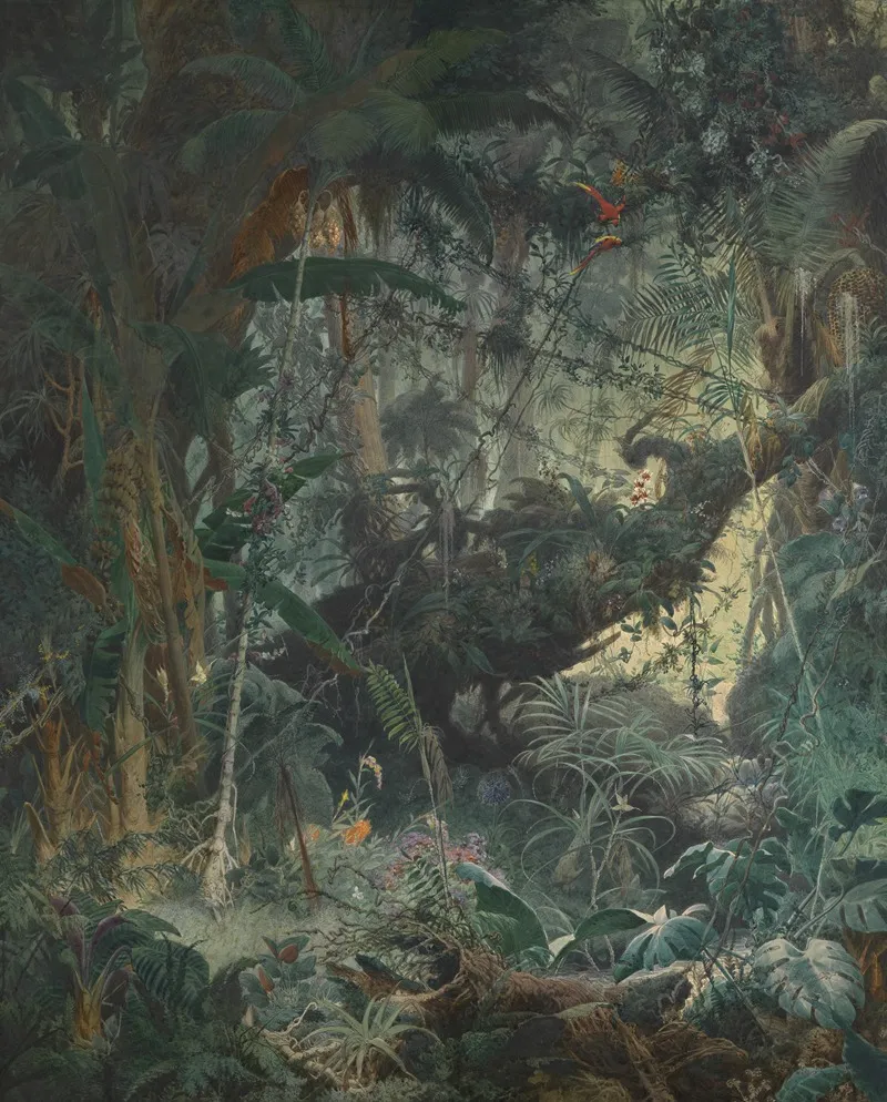 Brasilianischer Urwald