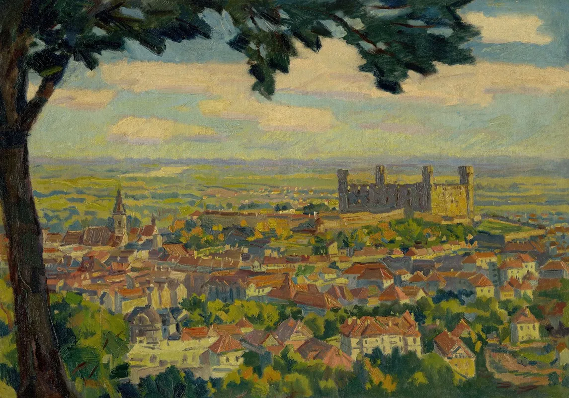 Bratislava From Novy Svet