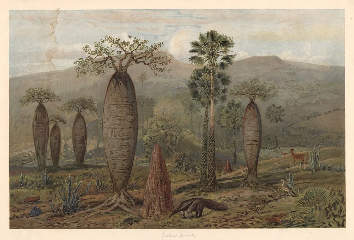 Brazilian Mountain Landscape